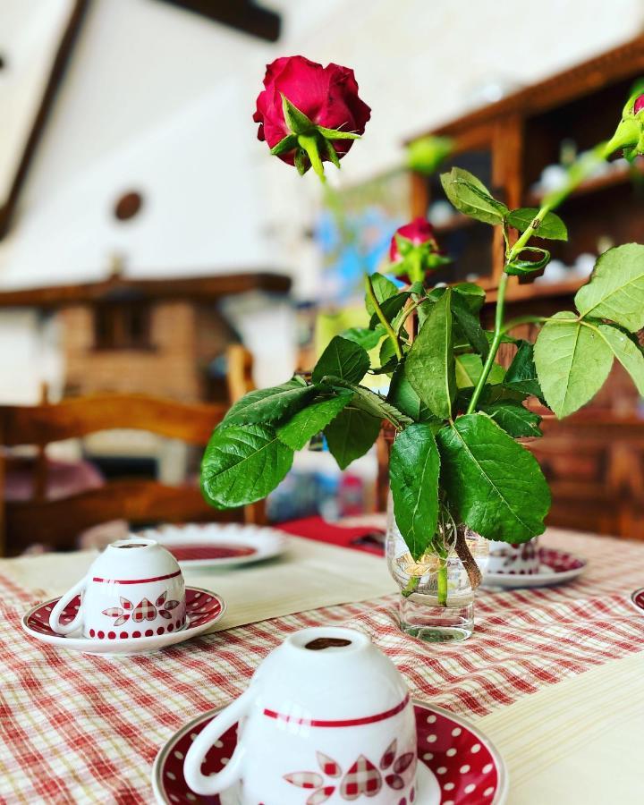 Il Ritrovo Delle Volpi Bed & Breakfast Agerola Bagian luar foto