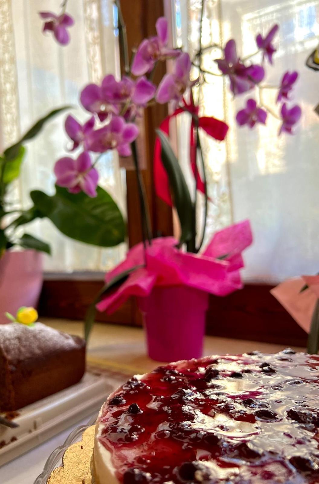 Il Ritrovo Delle Volpi Bed & Breakfast Agerola Bagian luar foto