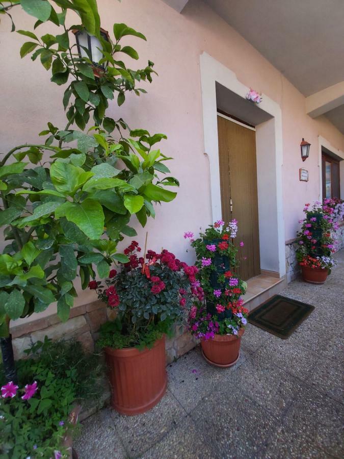 Il Ritrovo Delle Volpi Bed & Breakfast Agerola Bagian luar foto